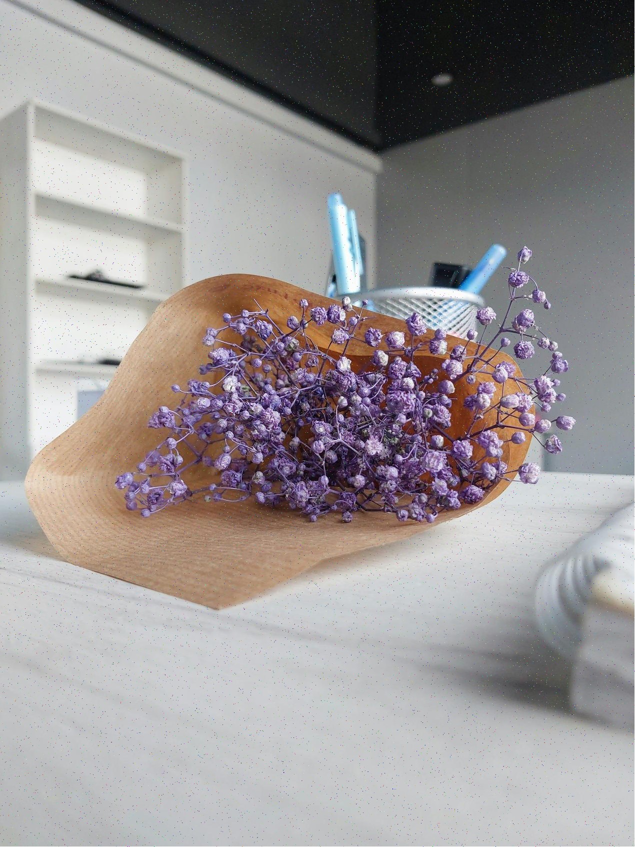 Galería 1